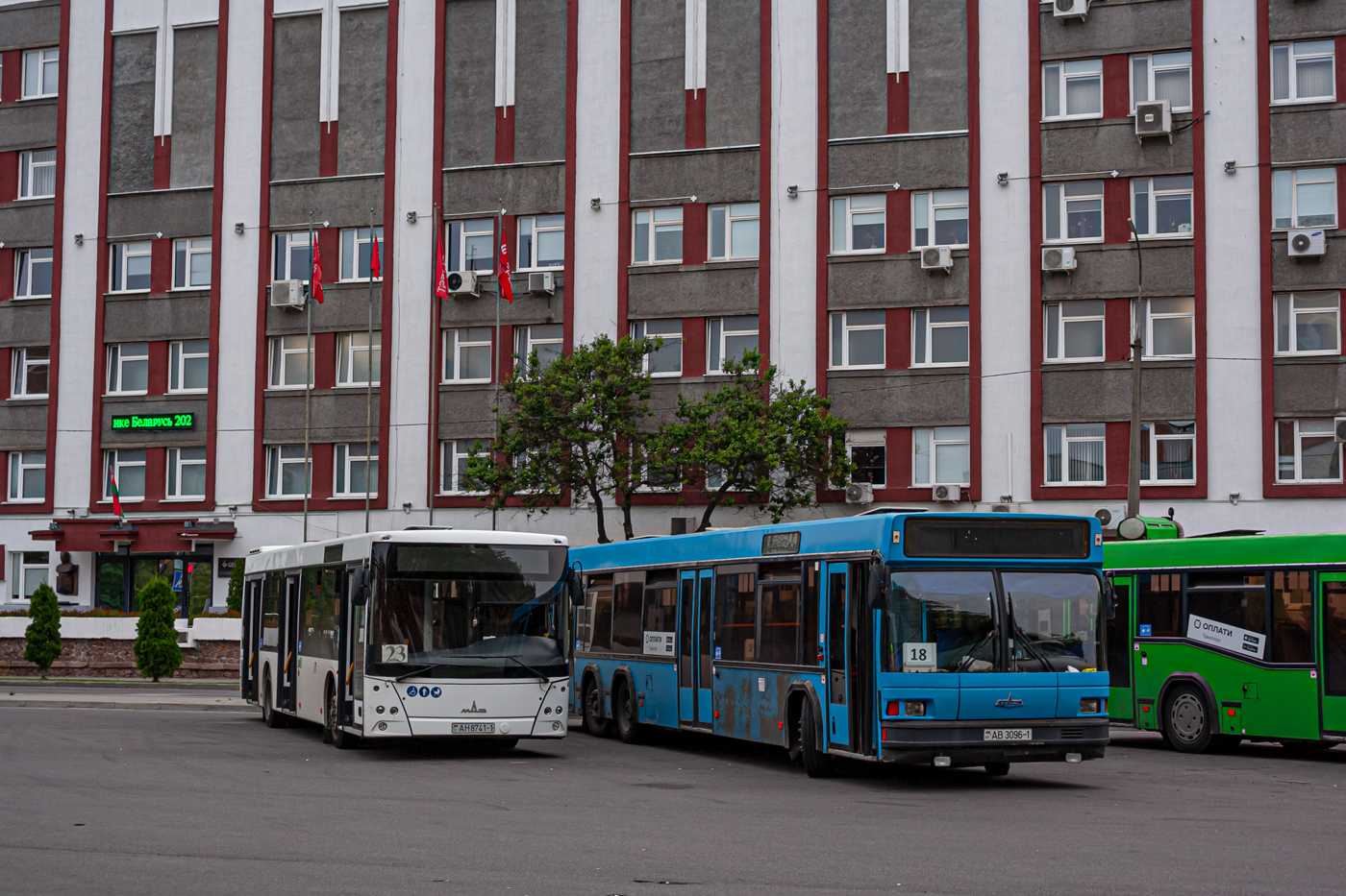 Брестская область, МАЗ-203.016 № 454