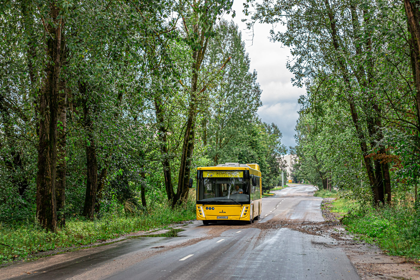Гродненская область, МАЗ-203.045 № АМ 9084-4