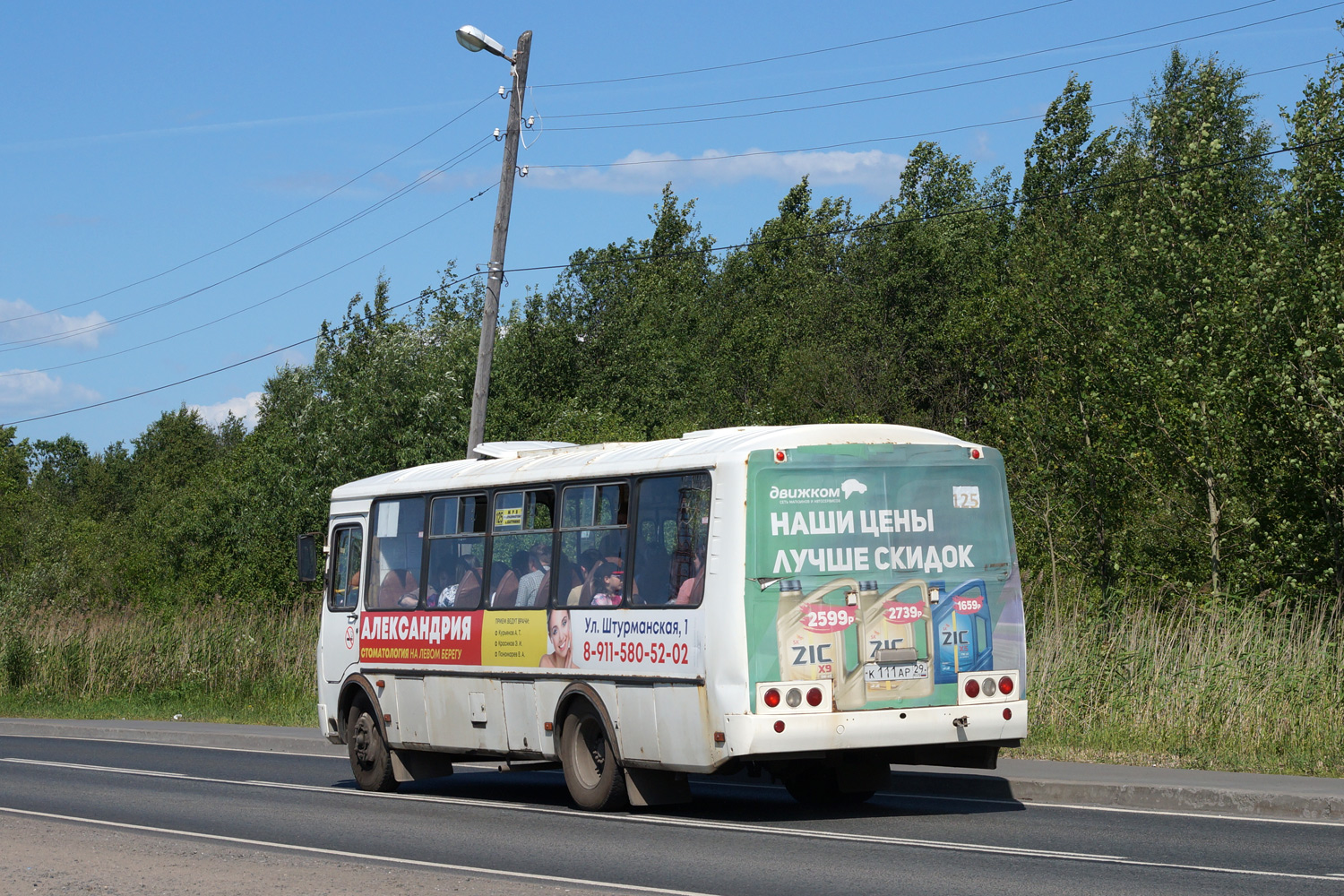 Архангельская область, ПАЗ-4234-04 № К 111 АР 29