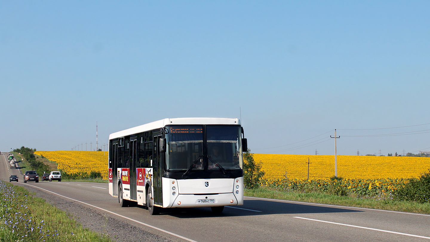 Белгородская область, НефАЗ-5299-10-42 № Р 768 АС 797