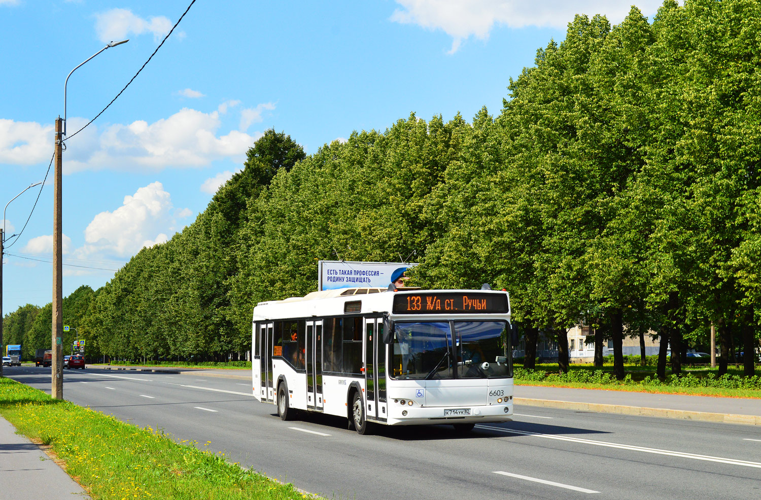 Санкт-Петербург, МАЗ-103.486 № 6603