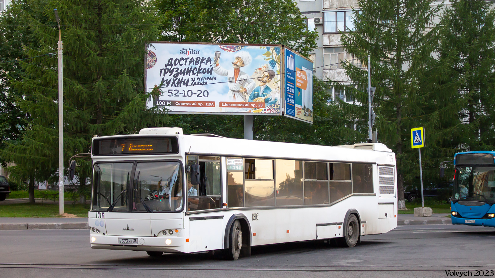 Вологодская область, МАЗ-103.469 № 1316