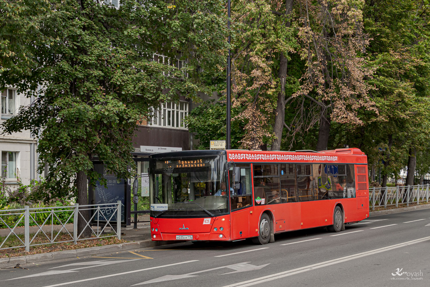 Татарстан, МАЗ-203.069 № 421