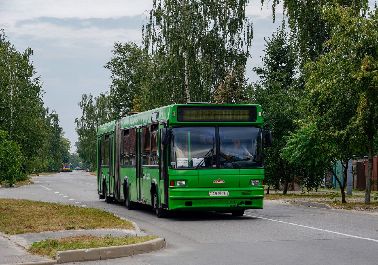 Gomel region, MAZ-105.065 № 25593