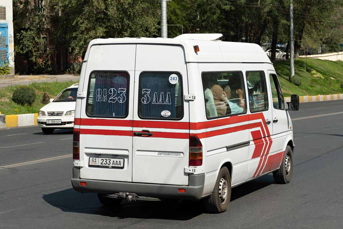 Кыргызстан, Mercedes-Benz Sprinter W901/W902 212D № 01 233 AAA