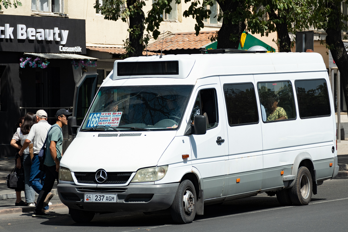 Кыргызстан, Koch № 04 237 AGM Кыргызстан, Koch № 04 237 AGM