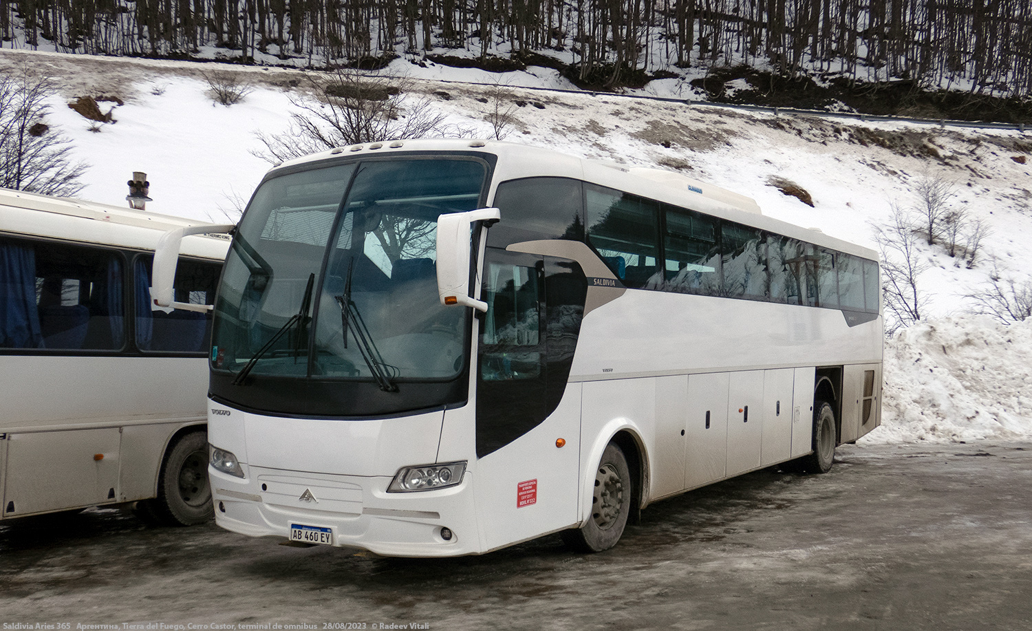 Аргентина, Saldivia Aries 365 № AB 460 EY