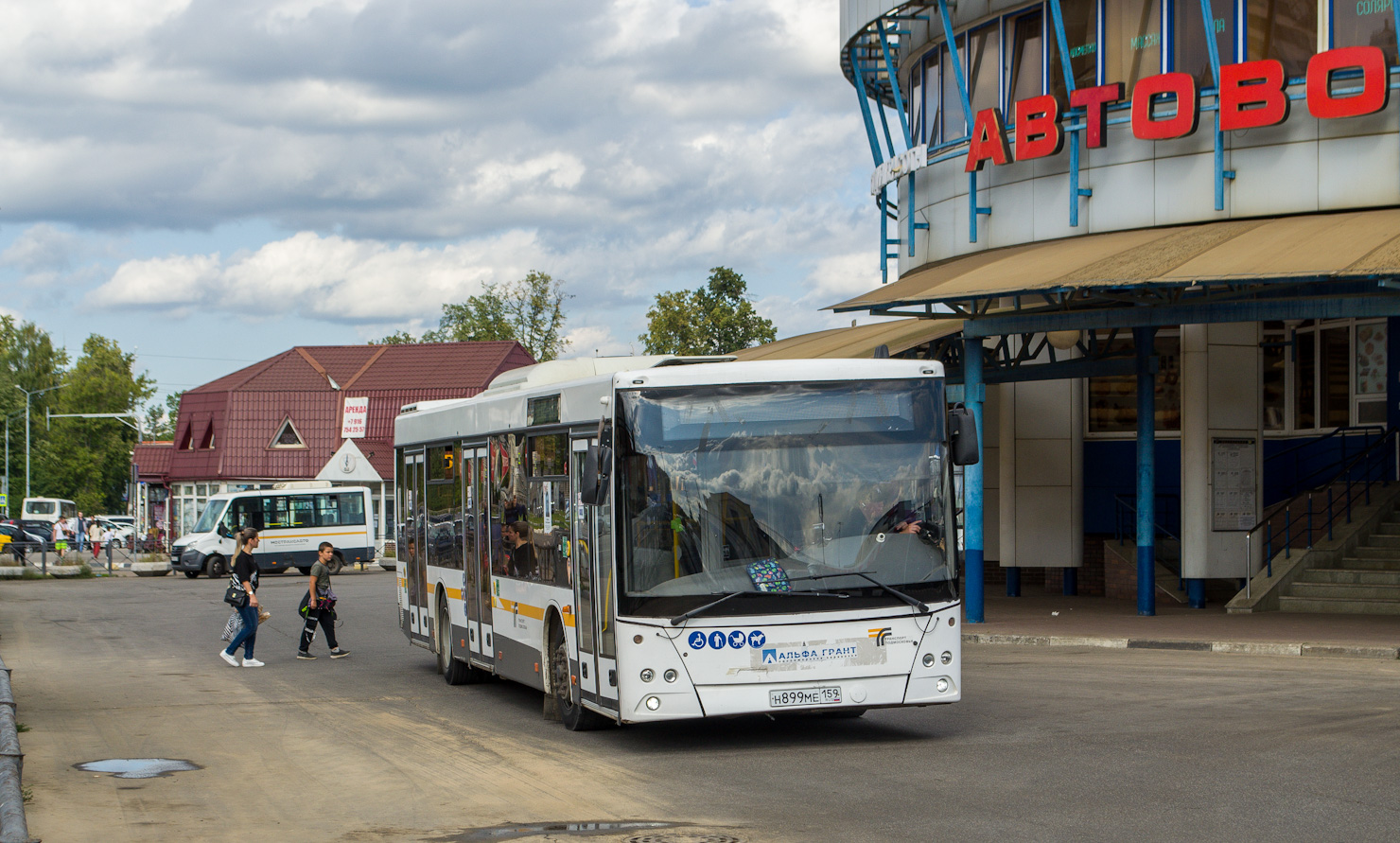 Московская область, МАЗ-203.016 № Н 899 МЕ 159