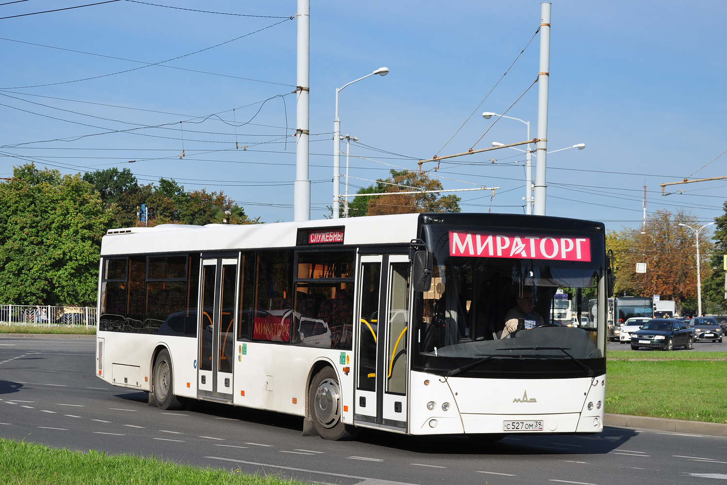 Калининградская область, МАЗ-203.116 № С 527 ОМ 39
