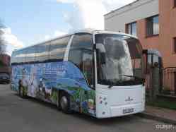253 КБ