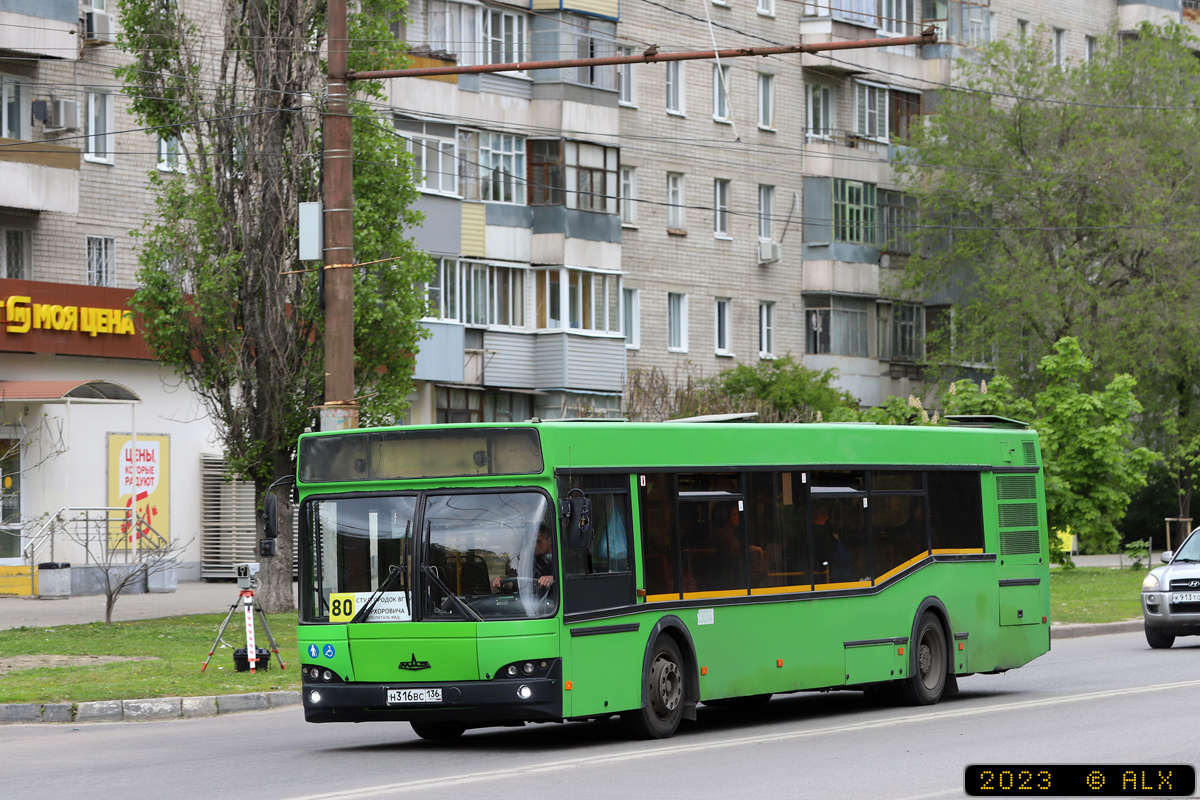 Воронежская область, МАЗ-103.465 № 13014