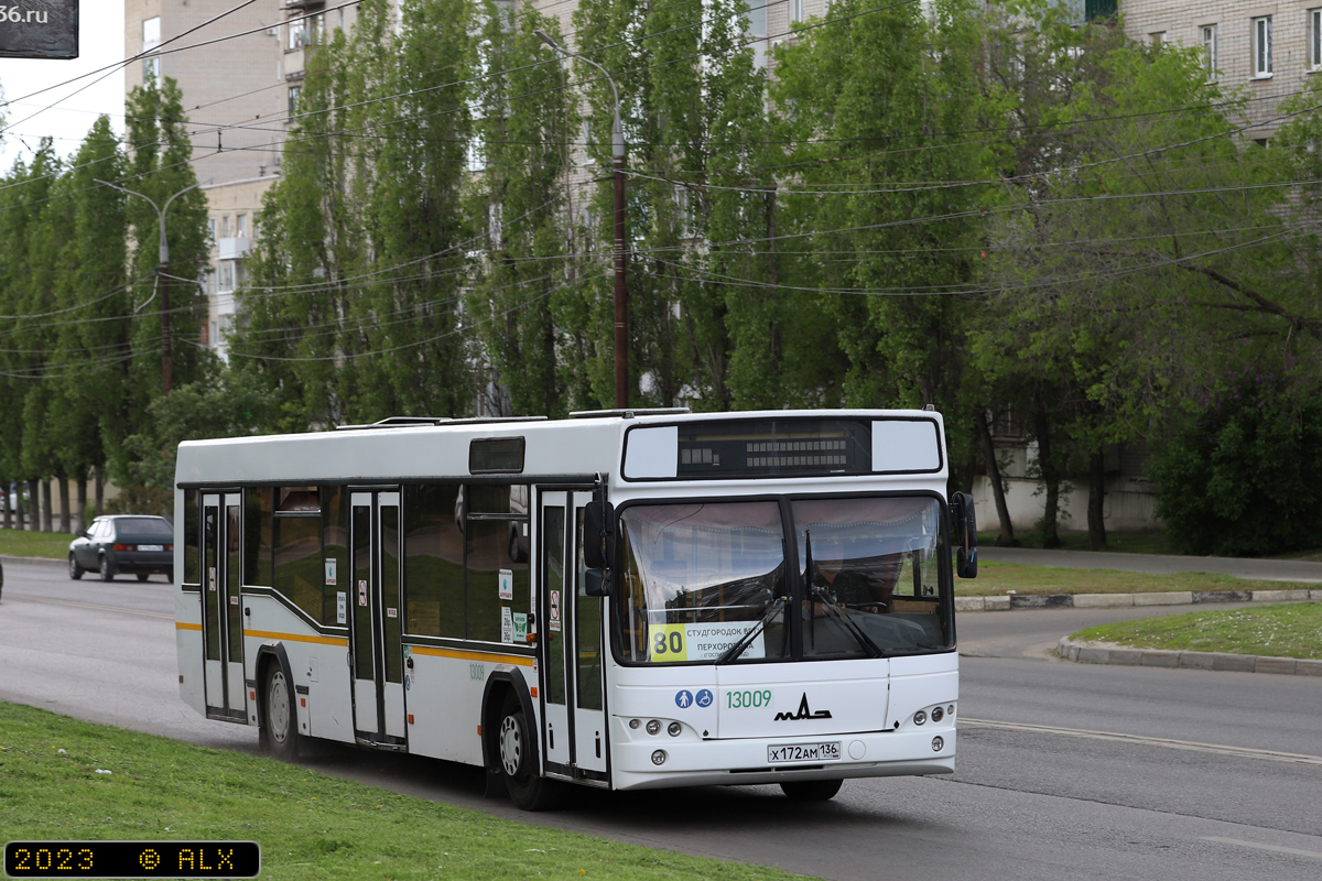 Воронежская область, МАЗ-103.465 № 13009