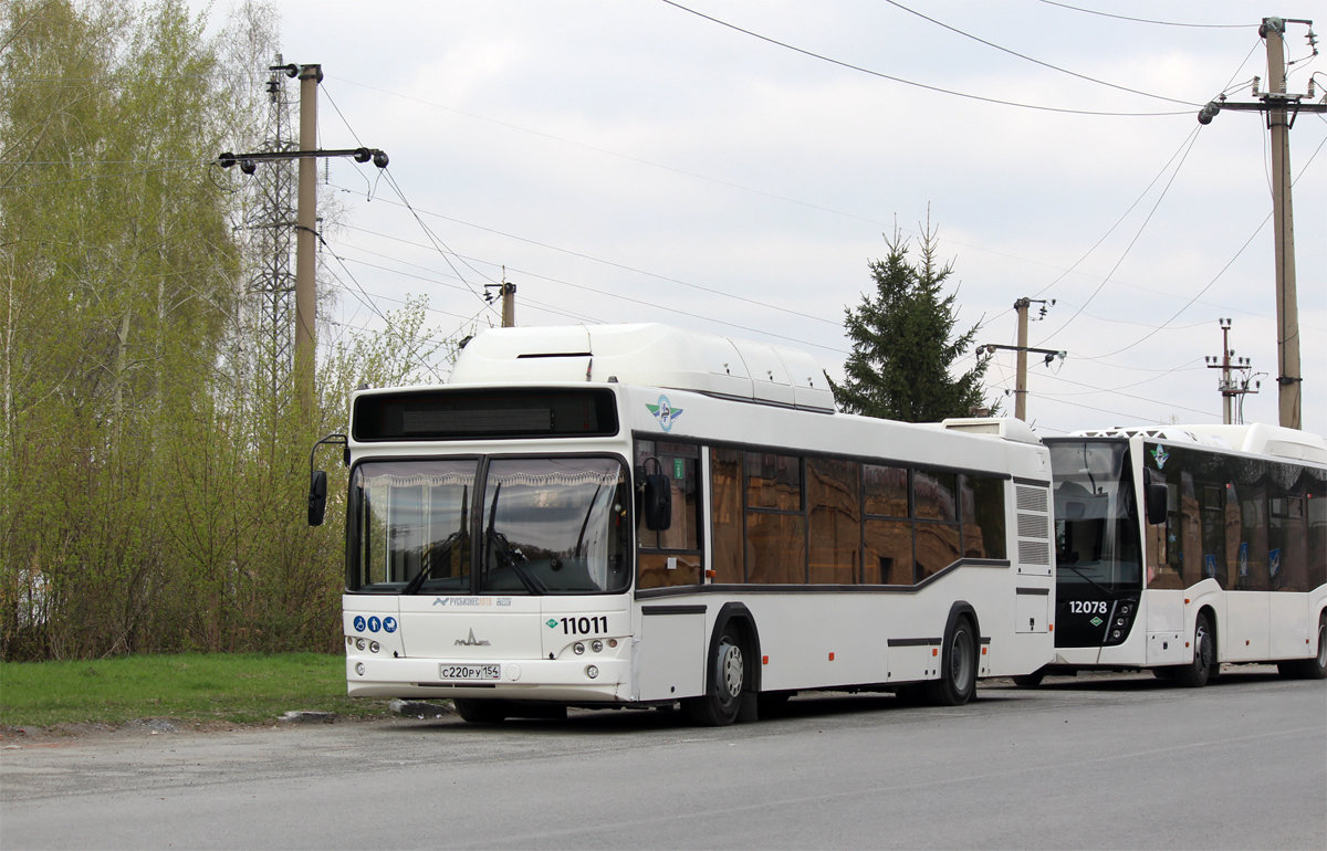 Новосибирская область, МАЗ-103.965 № 11011