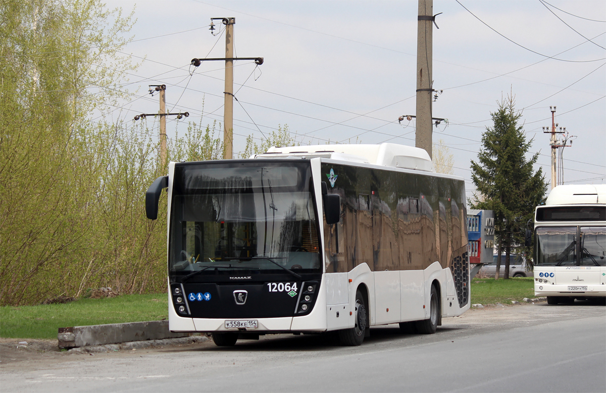 Новосибирская область, НефАЗ-5299-30-57 № 12064
