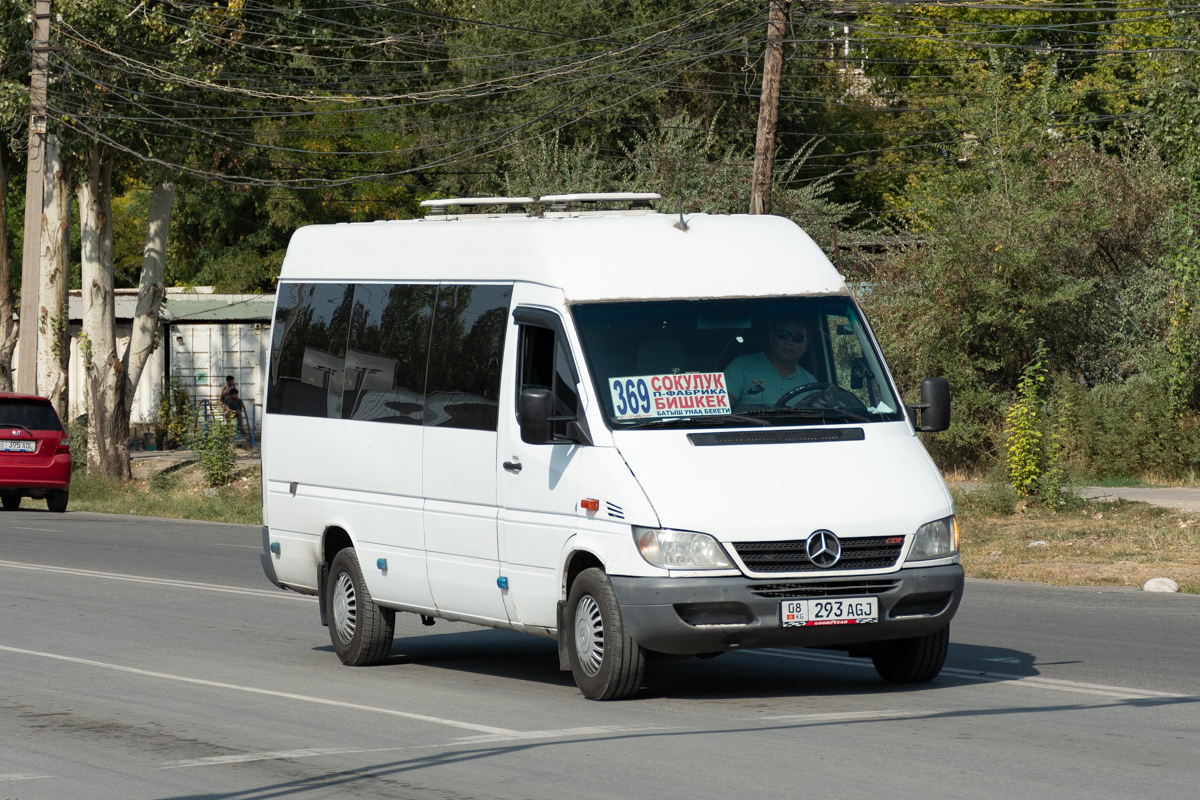 Кыргызстан, Mercedes-Benz Sprinter W903 311CDI № 08 293 AGJ