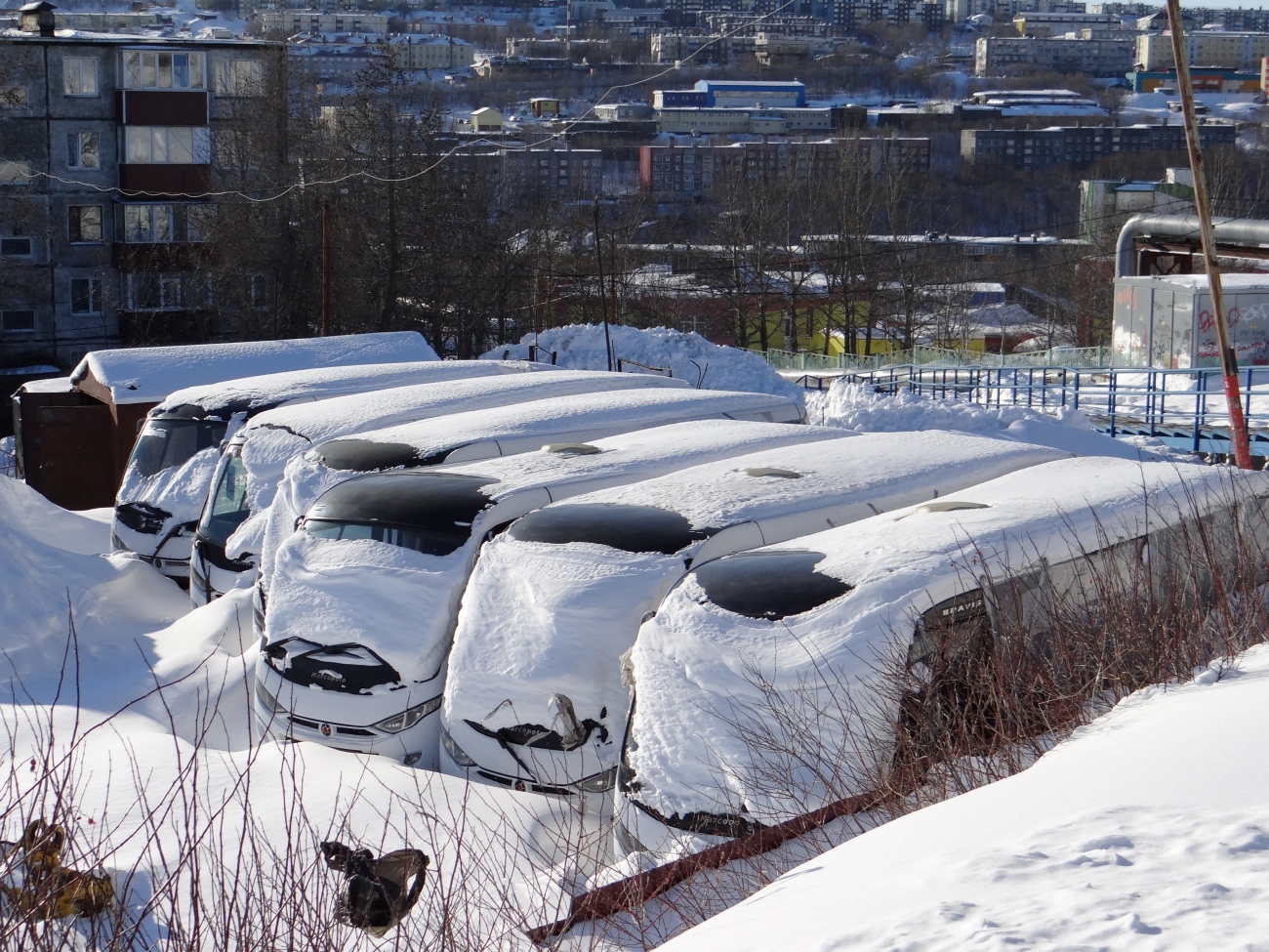 Камчатский край, Marcopolo Bravis 3297-20-01 № 530; Камчатский край, Marcopolo Bravis 3297-20-01 № 527; Камчатский край, Marcopolo Bravis 3297-20-01 № 526; Камчатский край, Marcopolo Bravis 3297-20-01 № 528; Камчатский край, Marcopolo Bravis 3297-20-01 № 524; Камчатский край, Marcopolo Bravis 3297-20-01 № 529; Камчатский край — Разные фотографии