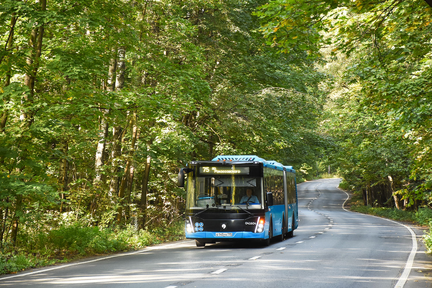Москва, ЛиАЗ-6213.65 № 041604