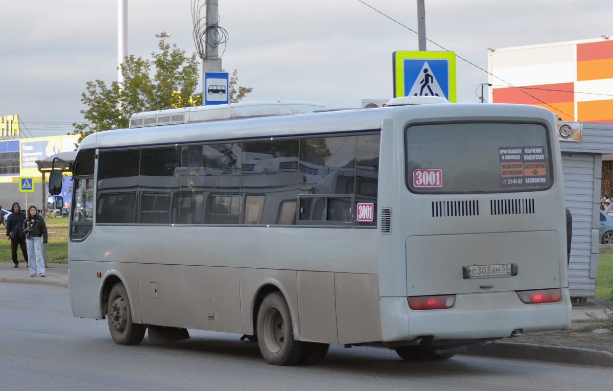 Омская область, Hyundai AeroTown № 3001