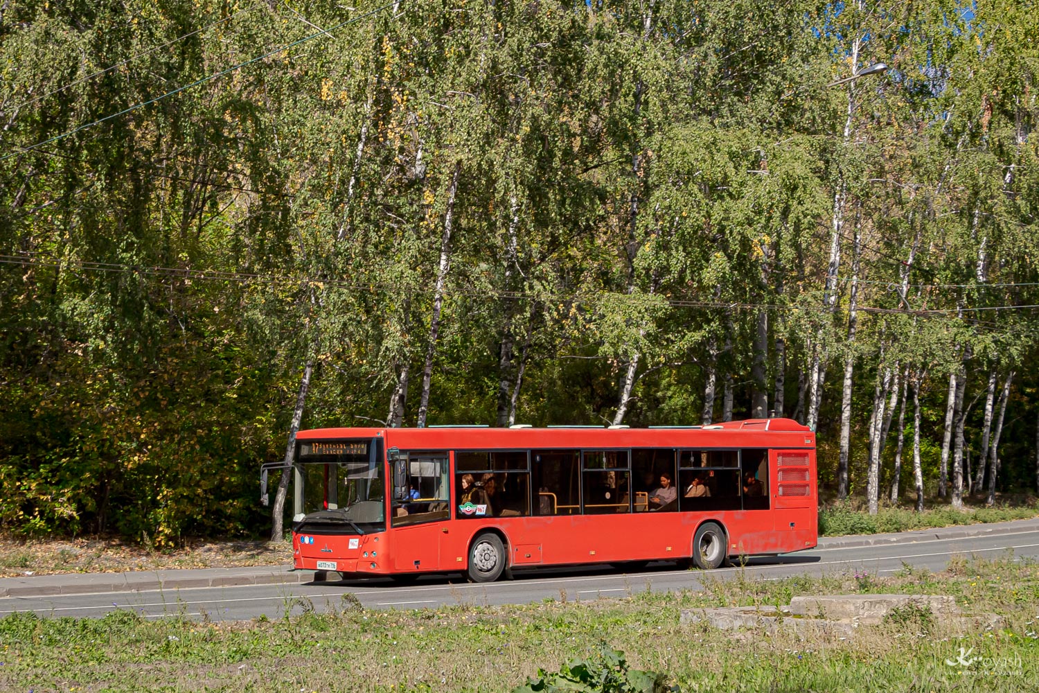 Татарстан, МАЗ-203.069 № 967