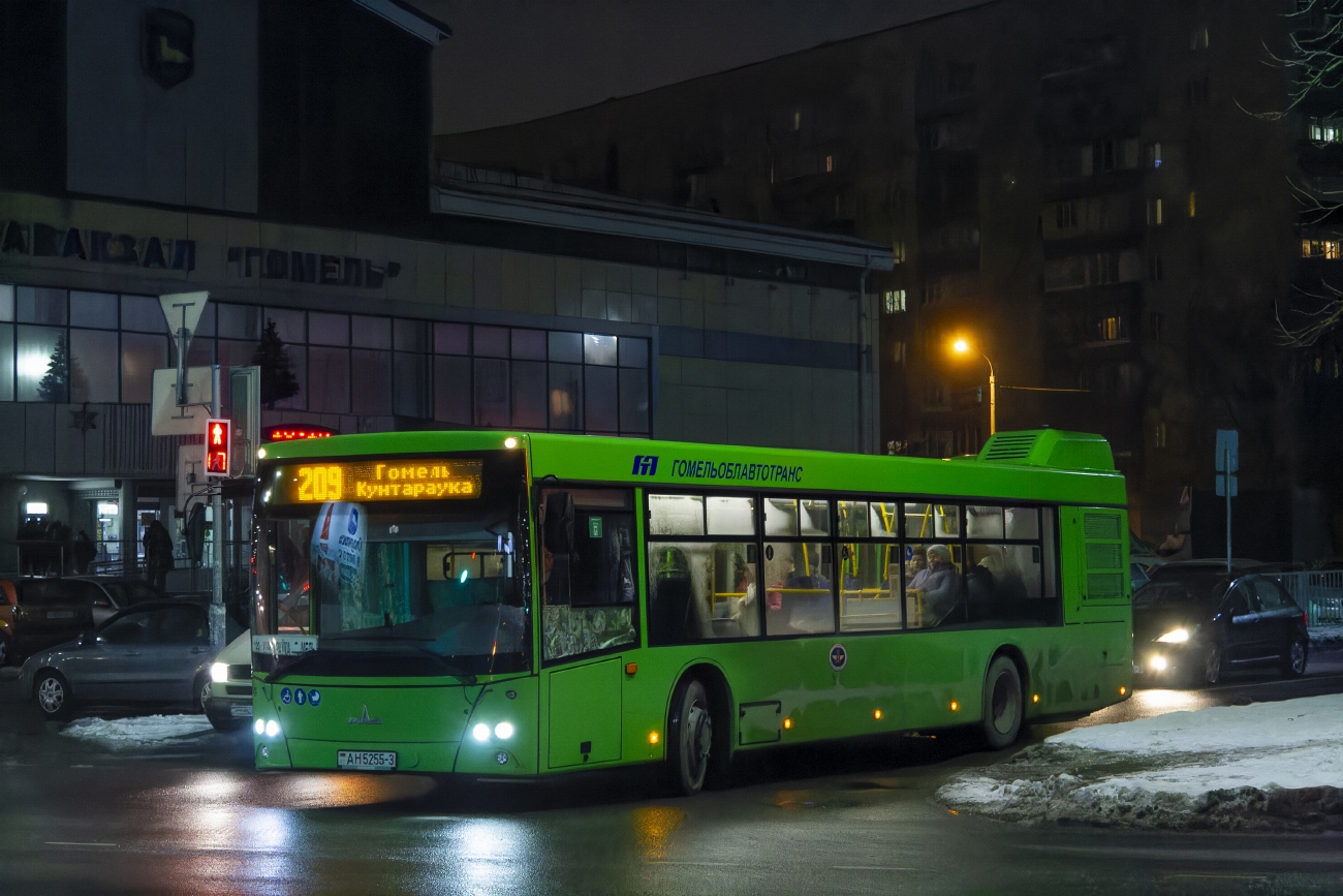 Гомельская область, МАЗ-203.045 № 037222 Гомельская область, МАЗ-203.045 № 037222