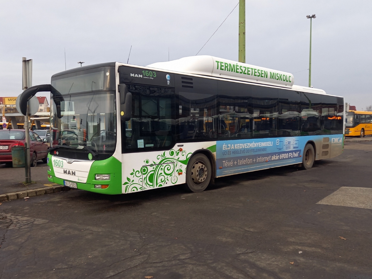 Венгрия, MAN A21 Lion's City NL273 CNG № 1603