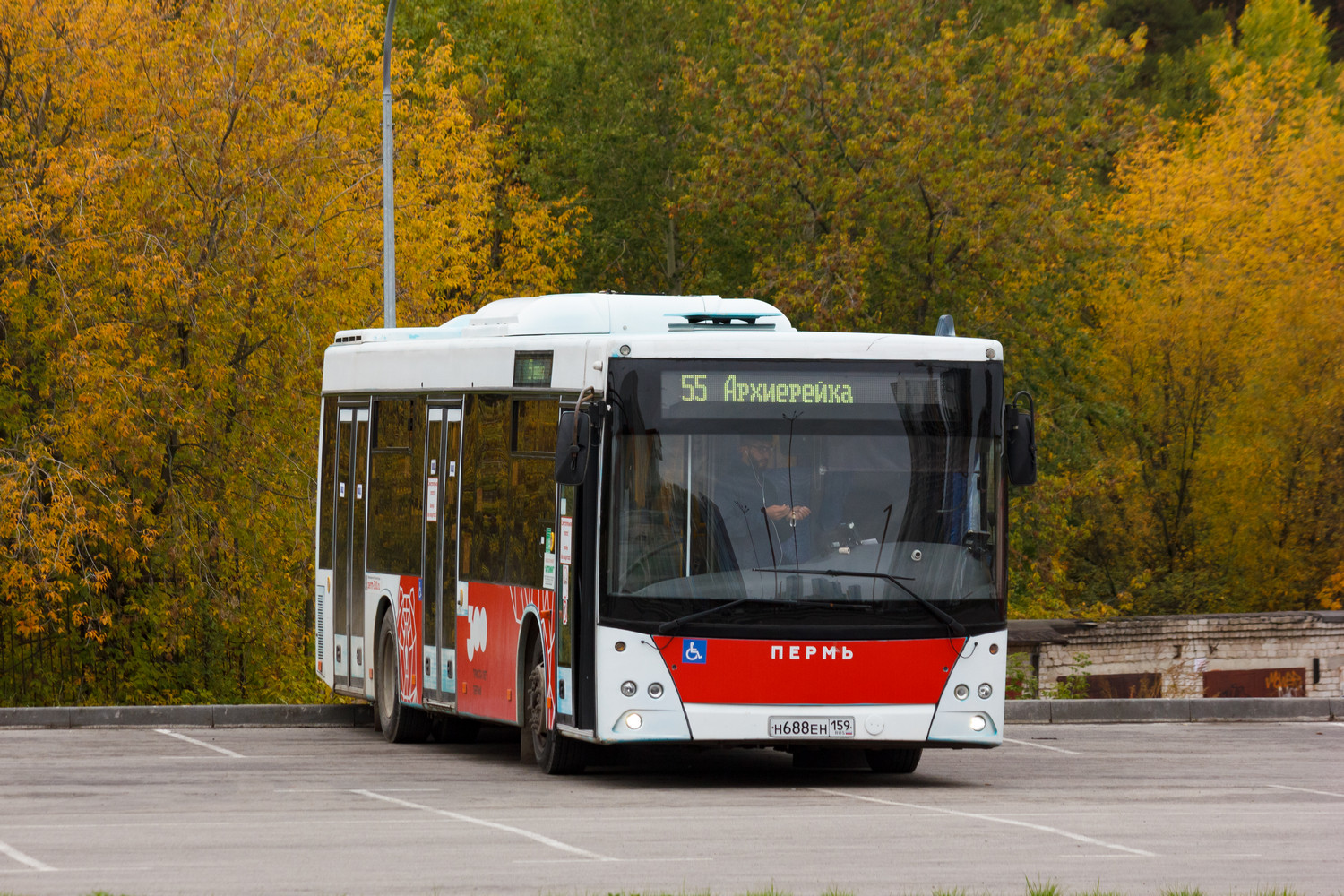 Пермский край, МАЗ-203.016 № Н 688 ЕН 159