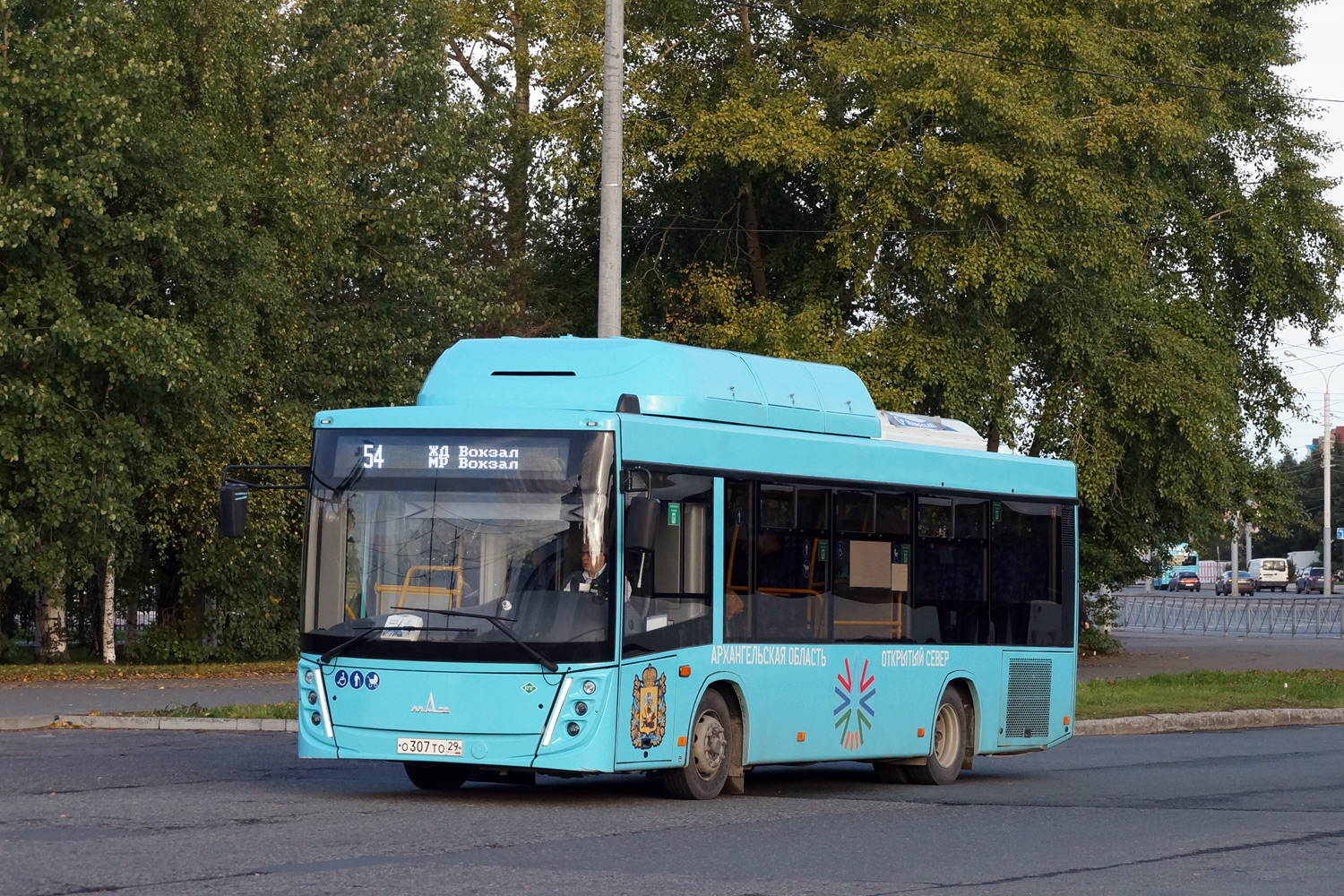 Архангельская область, МАЗ-206.948 № О 307 ТО 29