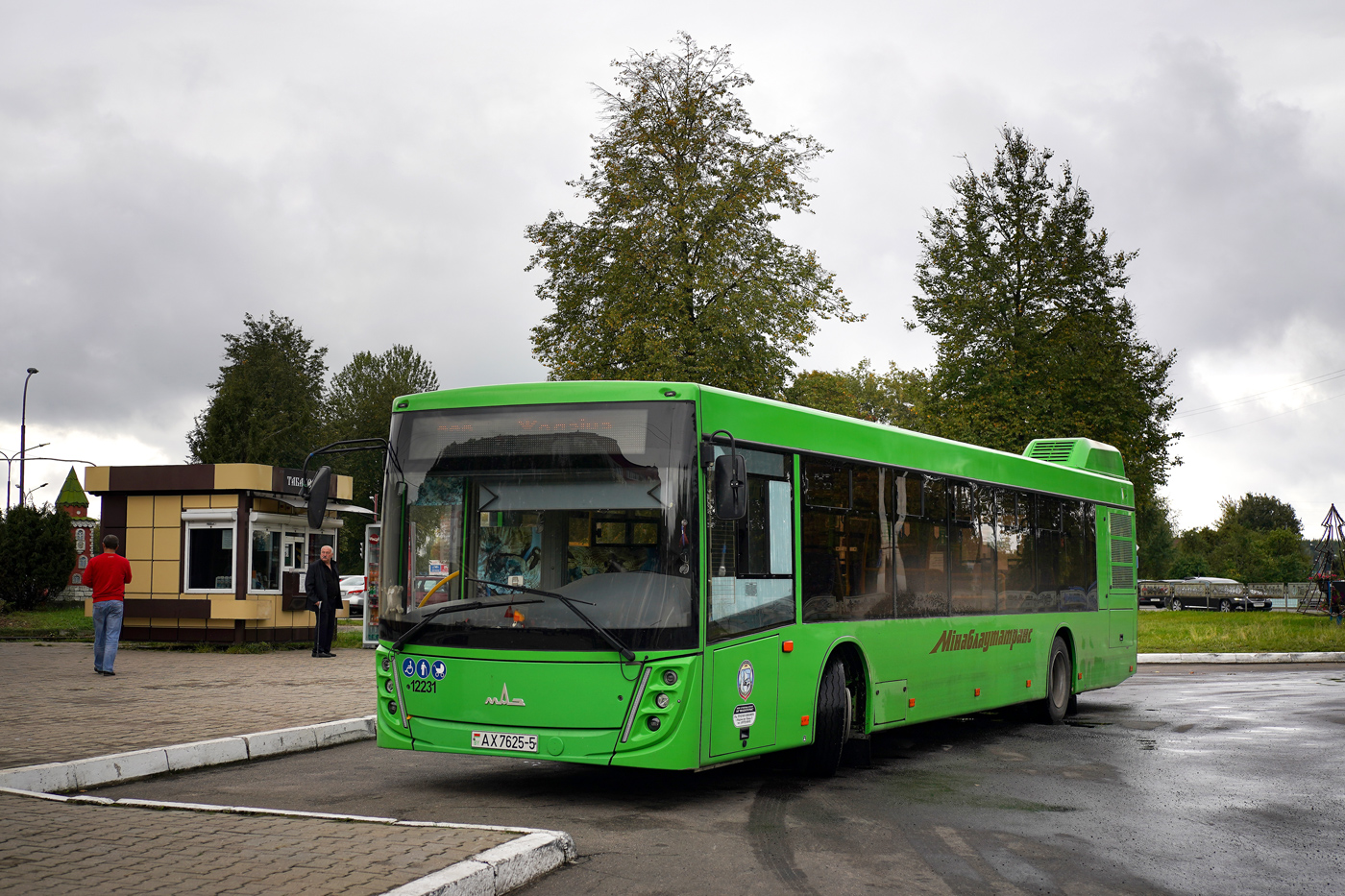 Минская область, МАЗ-203.047 № 12231