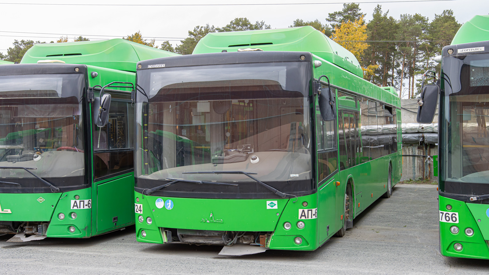 Свердловская область, МАЗ-203.L65 № 1683; Свердловская область, МАЗ-203.L65 № 1724