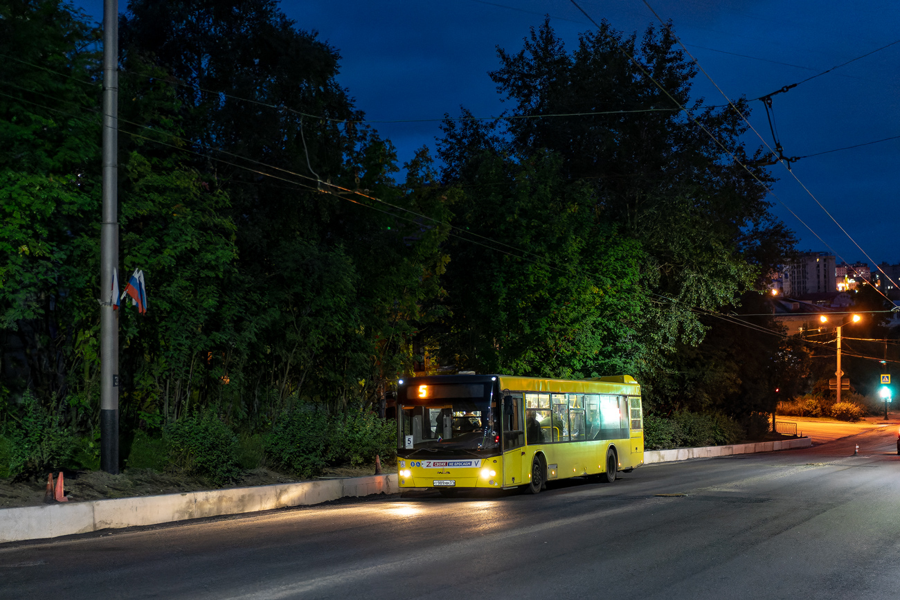 Мурманская область, МАЗ-203.065 № Т 989 ММ 51