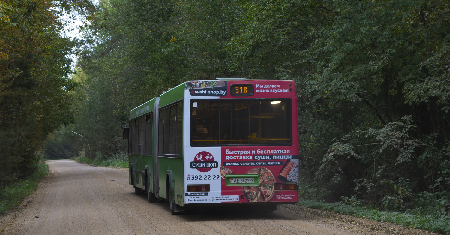 Витебская область, МАЗ-105.465 № 083925