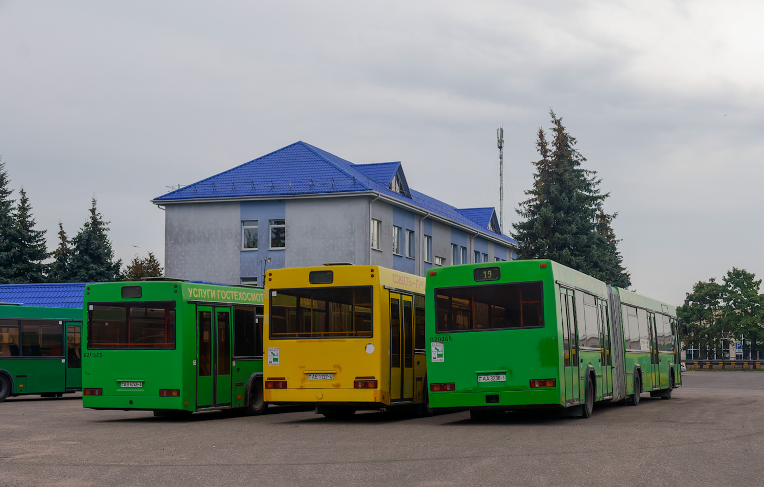 Гродненская область, МАЗ-105.065 № 020955; Гродненская область, МАЗ-105.065 № 020365