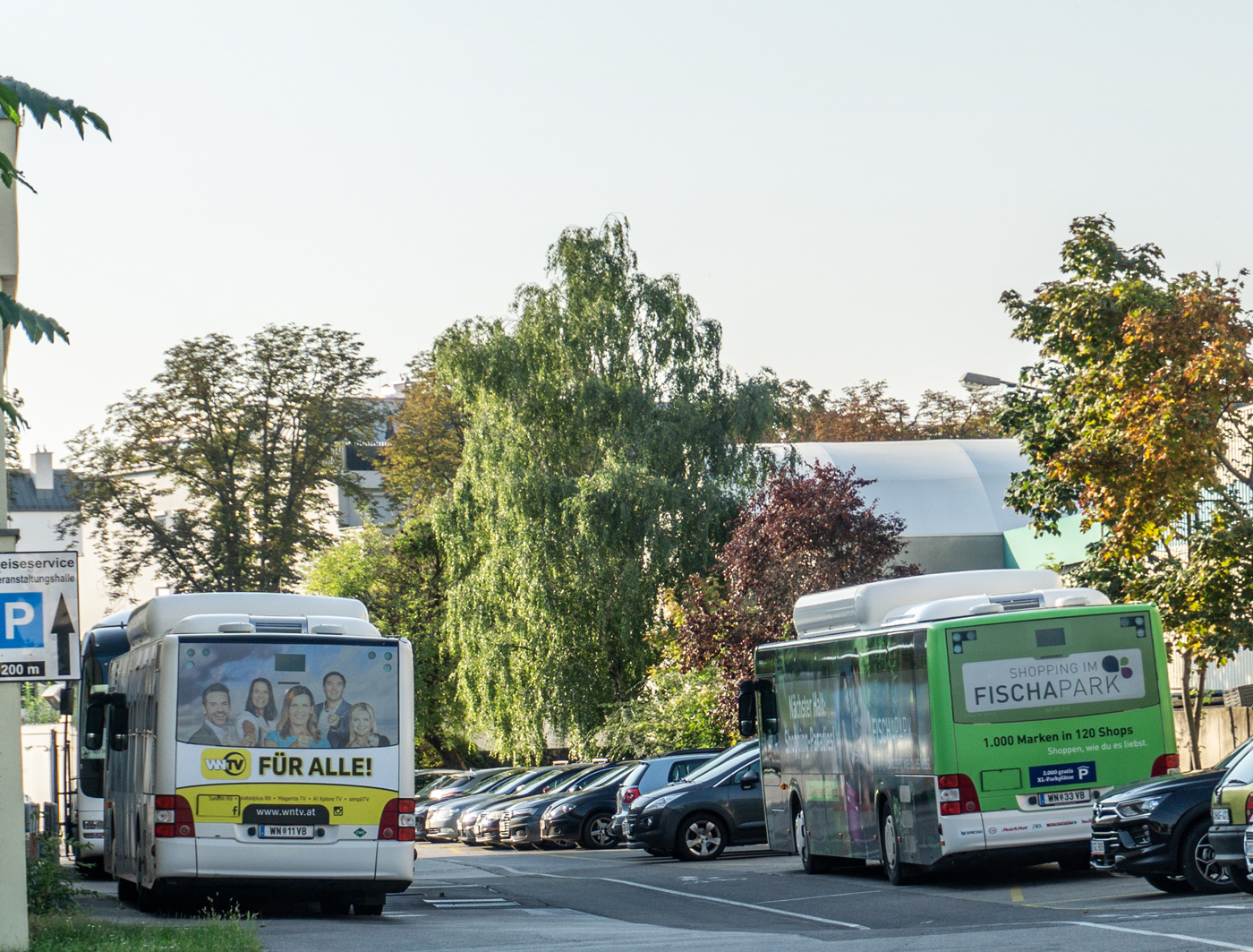 Австрия, MAN A21 Lion's City NL313 CNG № WN 11 VB