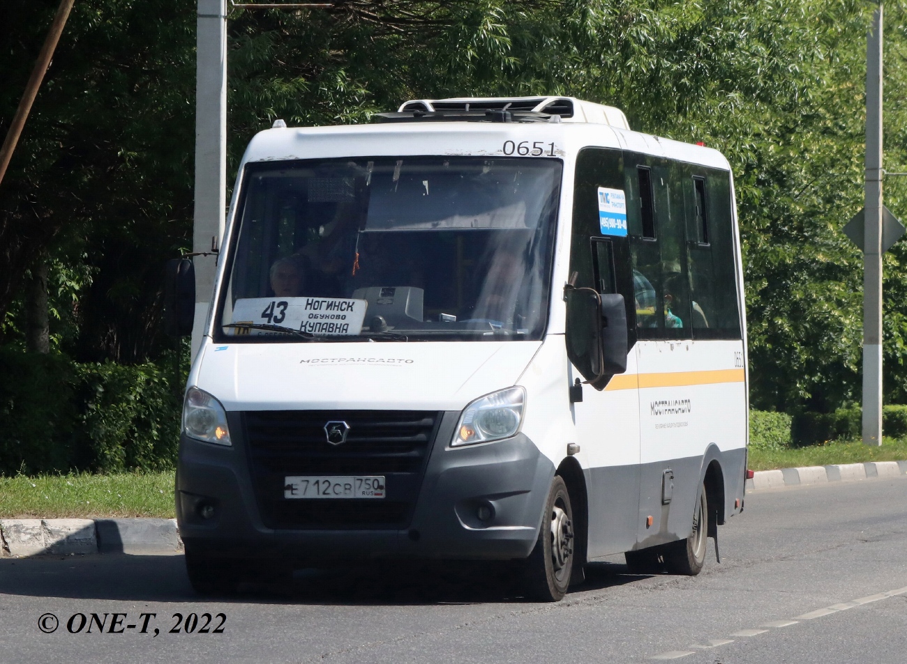 Московская область, Луидор-2250DS (ГАЗ Next) № 122651