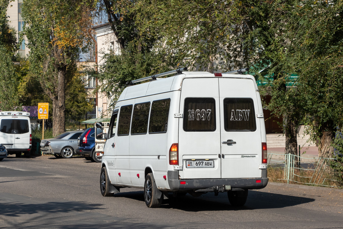 Кыргызстан, Mercedes-Benz Sprinter W903 313CDI № 08 697 ABW