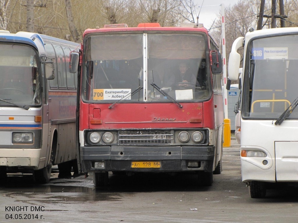Свердловская область, Ikarus 250.59 № 20204