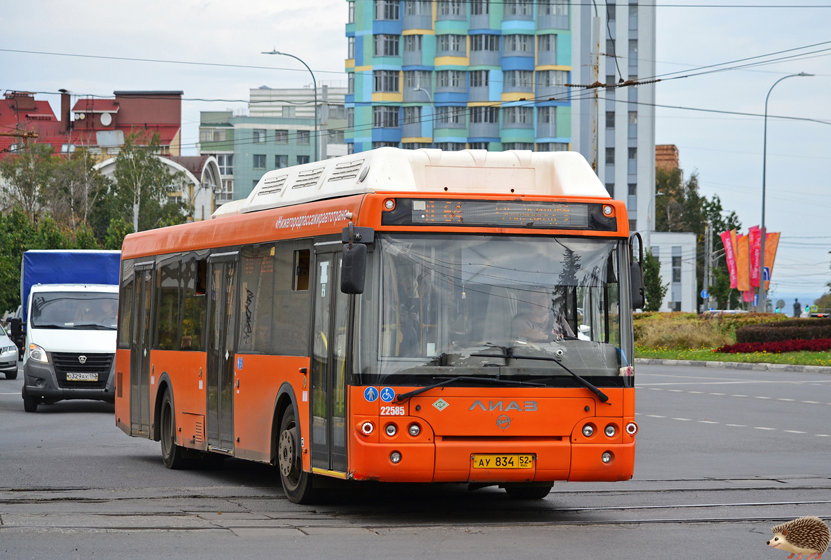 Нижегородская область, ЛиАЗ-5292.67 (CNG) № 22585