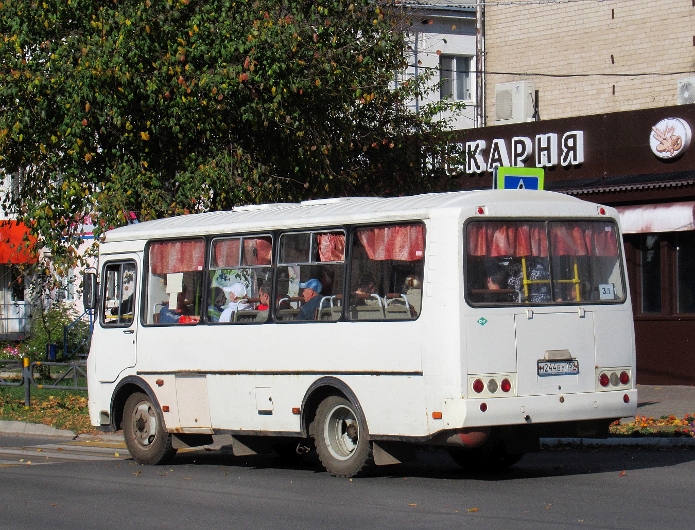 Пермский край, ПАЗ-32054 № М 244 ВУ 159