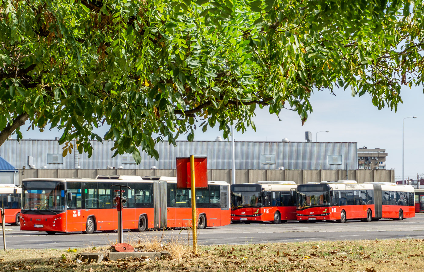 Сербия, Ikarbus IK-218 № 1371