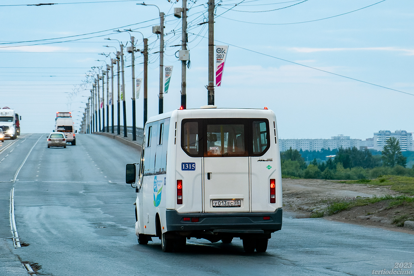 Омская область, Луидор-2250DS (ГАЗ Next) № У 013 ЕС 55