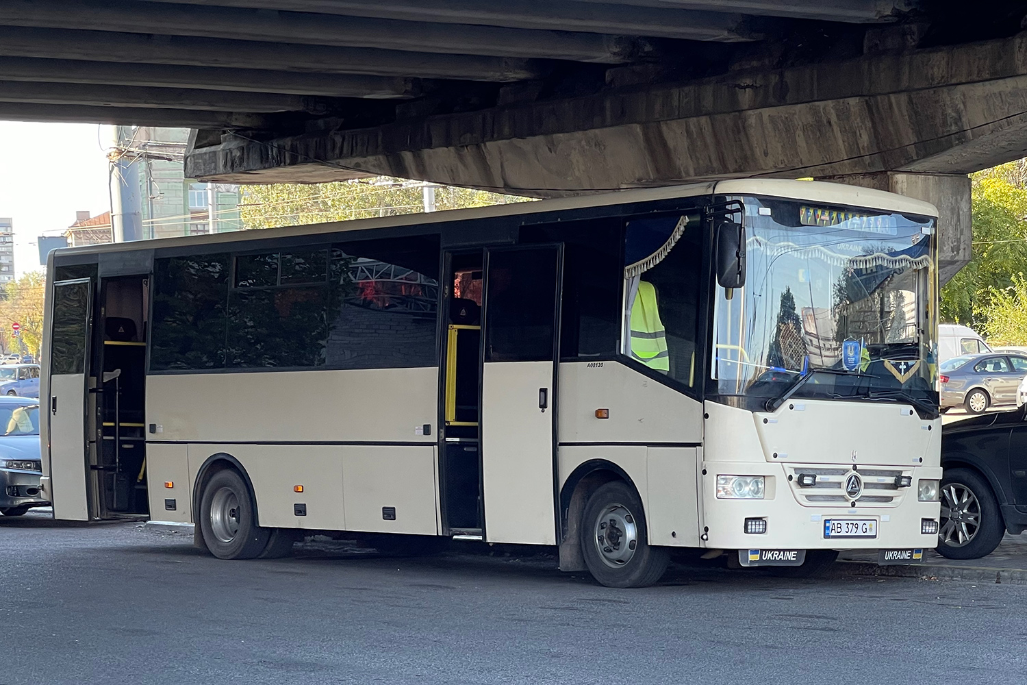 Винницкая область, Эталон А081.20 "Роза" № AB 379 G