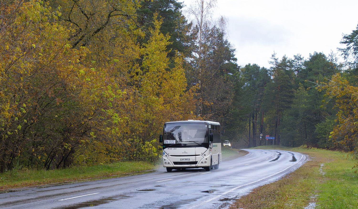 Витебская область, МАЗ-241.000 № 010286