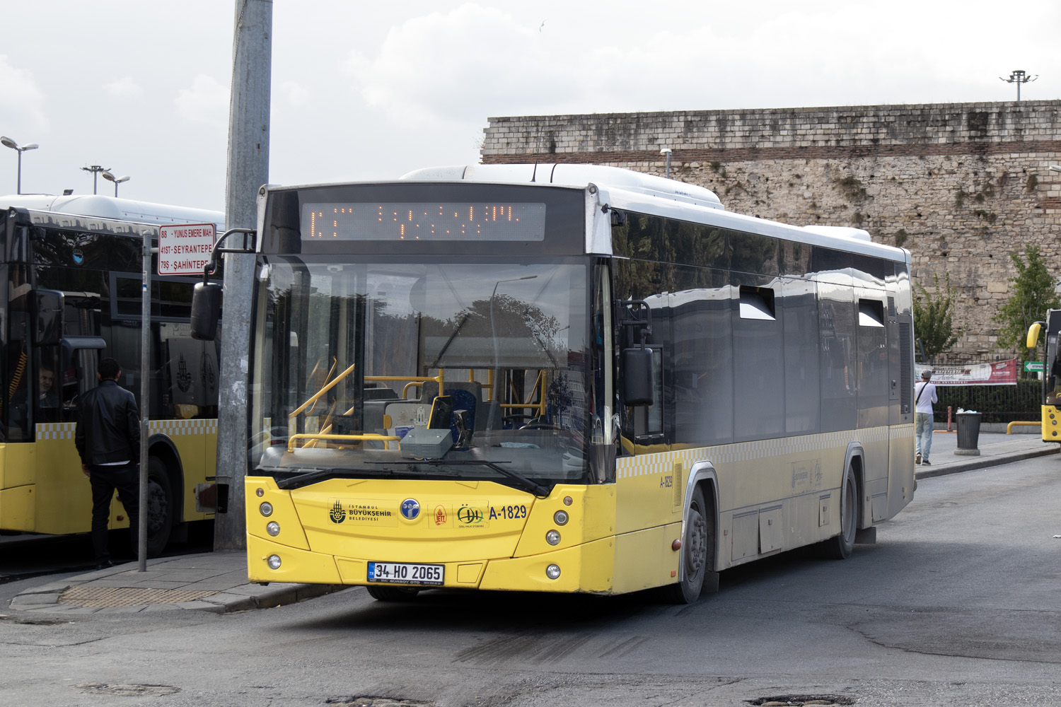 Турция, TEMSA Avenue 12LF № A-1829