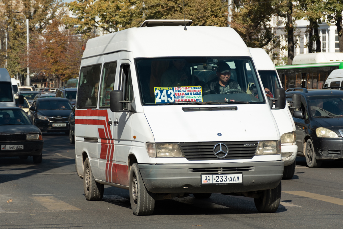 Кыргызстан, Mercedes-Benz Sprinter W901/W902 212D № 01 233 AAA