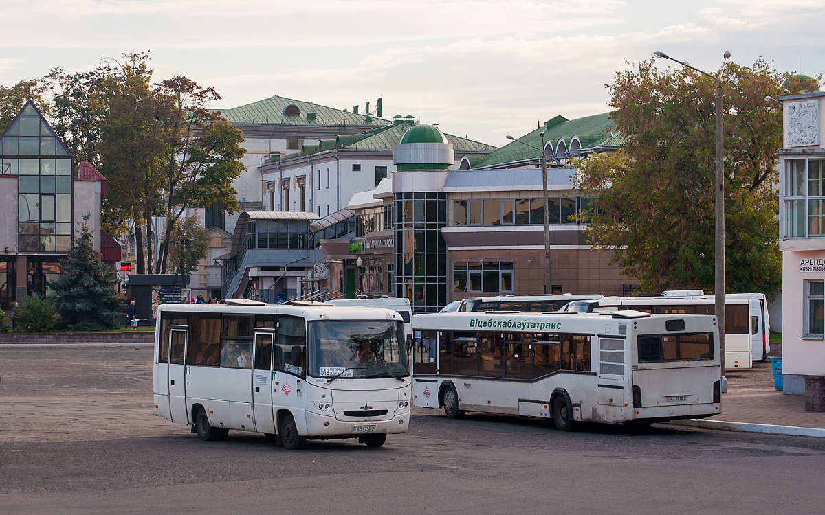 Витебская область, МАЗ-256.170 № АВ 4234-2