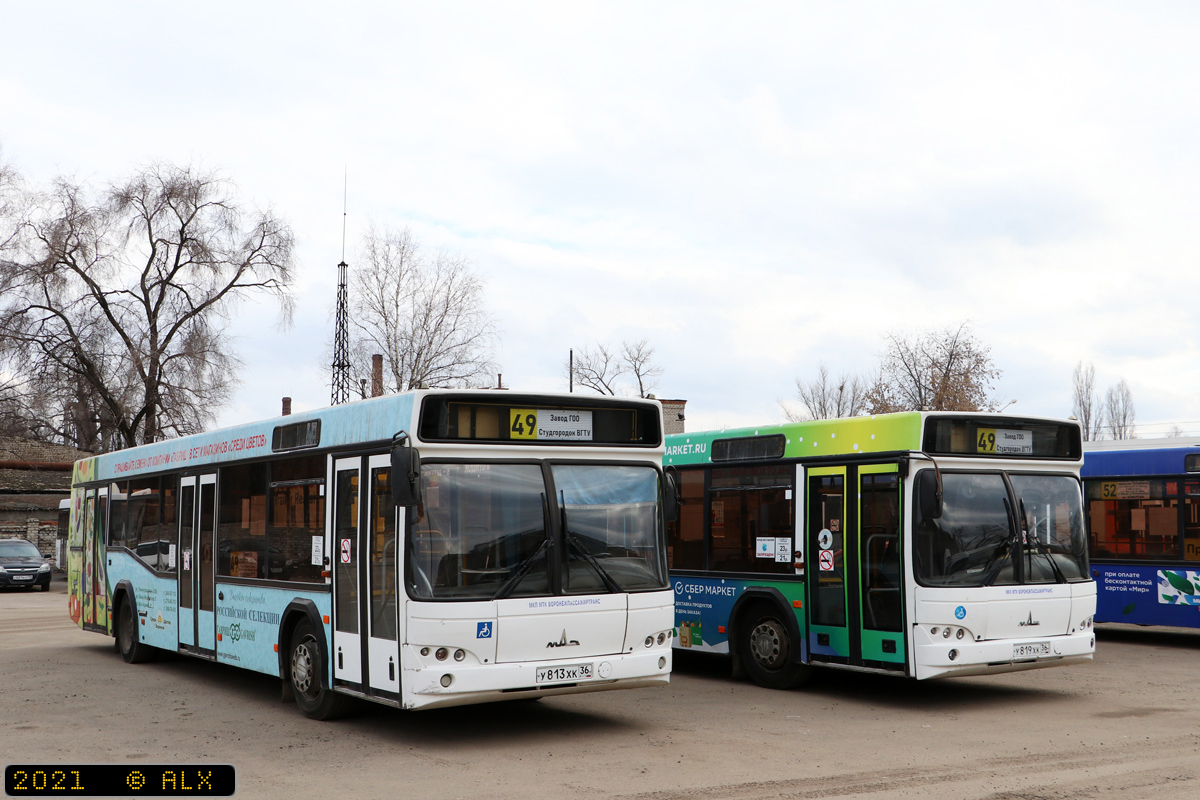 Voronezh region, MAZ-103.469 # У 813 ХК 36