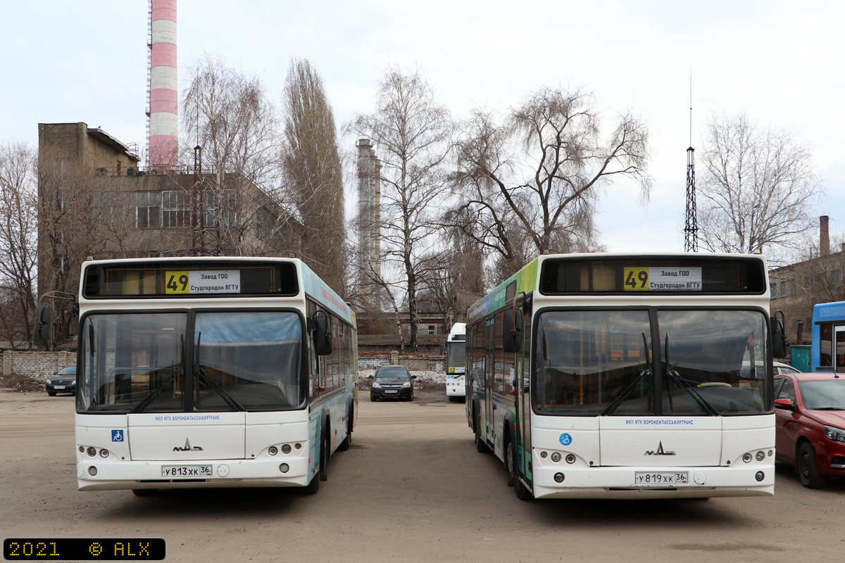 Voronezh region, MAZ-103.469 # У 813 ХК 36; Voronezh region, MAZ-103.469 # У 819 ХК 36