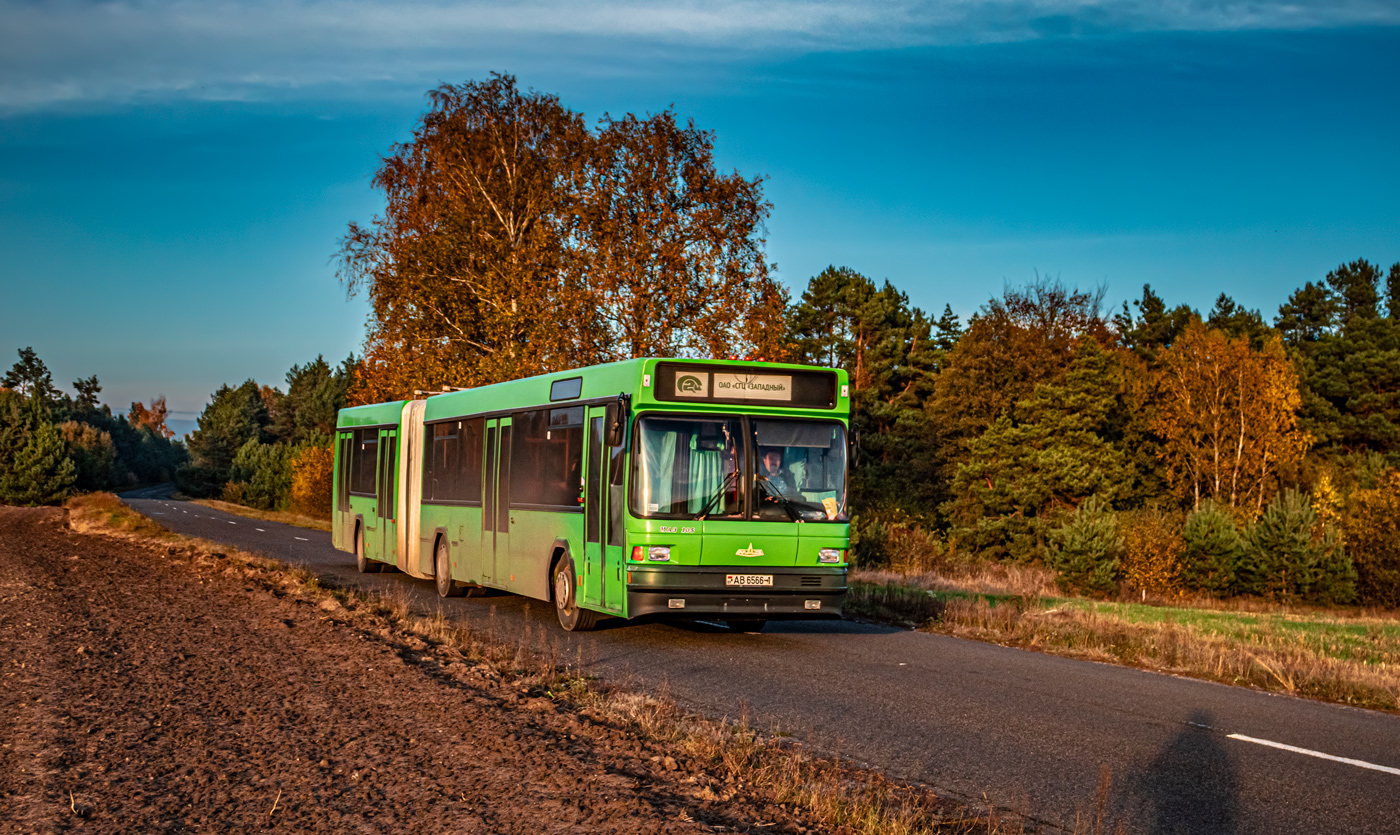 Brestská oblast, MAZ-105.065 č. АВ 6566-1