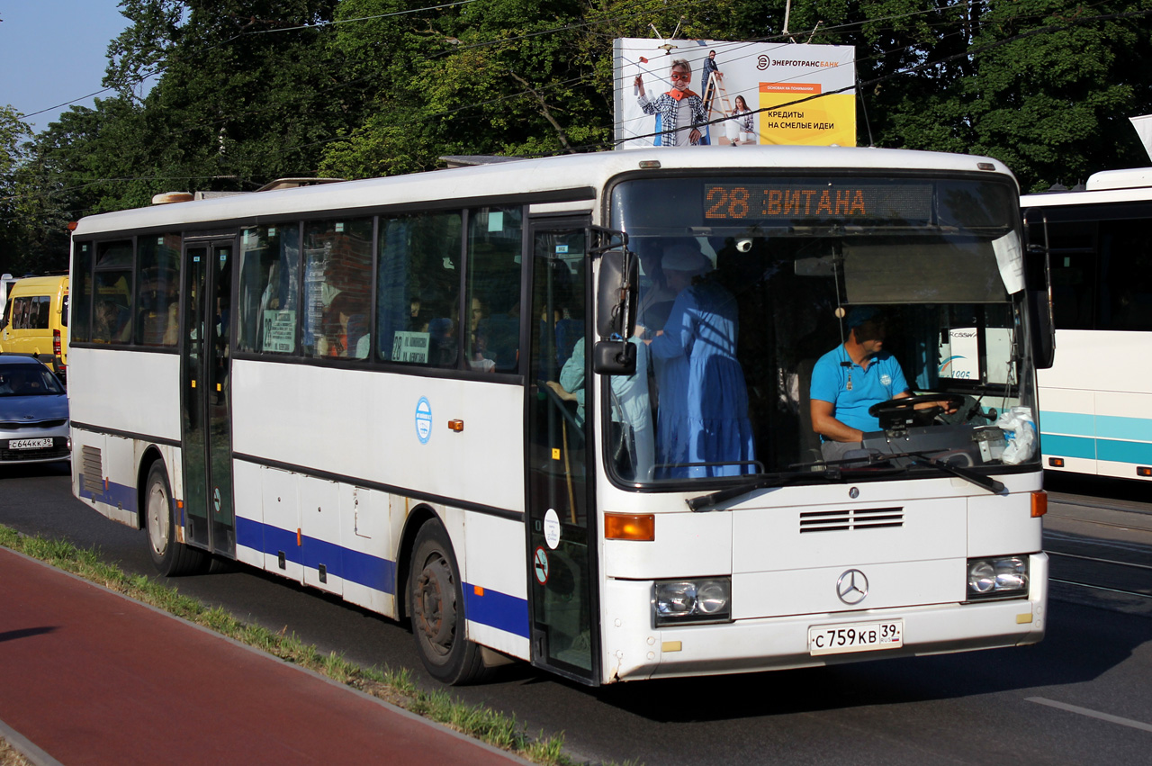 Калининградская область, Mercedes-Benz O408 № С 759 КВ 39 — Фото ...