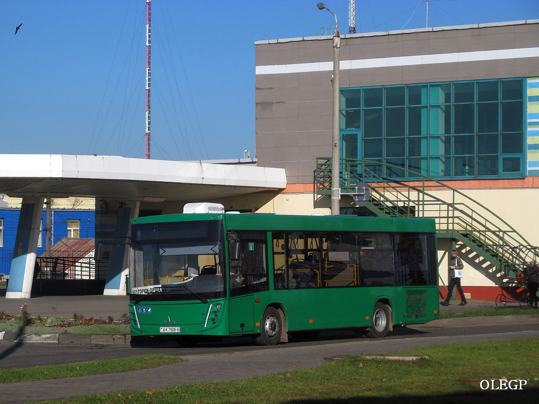 Могилёвская область, МАЗ-206.047 № 30140 Могилёвская область, МАЗ-206.047 № 30140